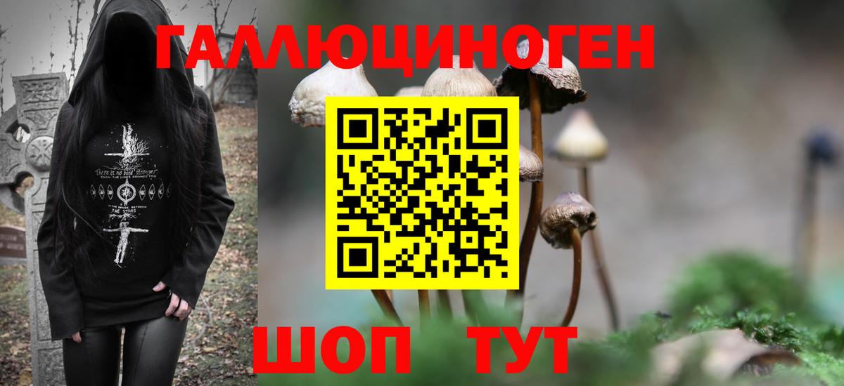 Новочебоксарск  Псилоцибиновые грибы Psilocybine cubensis  Вход с VPN  Псилоцибиновые грибы Cubensis 
